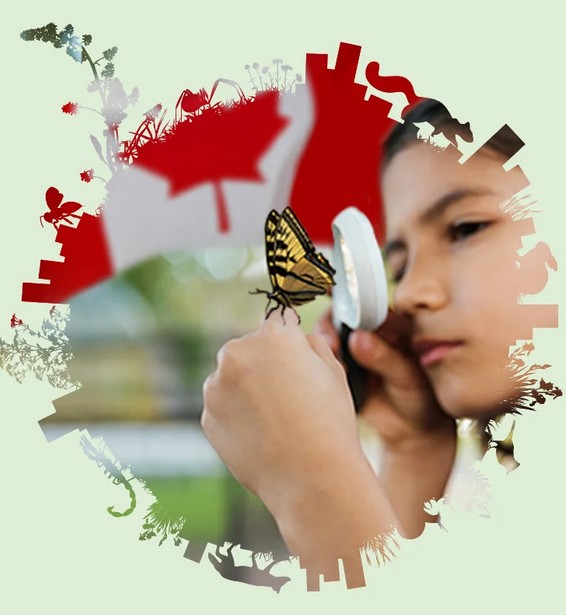 Participez au Défi nature urbaine 2026!