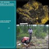 124. Gold Geochemistry (1979)