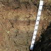 152. Tsunami Deposits (1994)