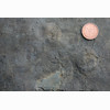 24. Precambrian Fossils of Newfoundland (1872)
