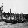 32. Anthropology (1878)