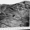 39. Burgess Shale (1886)