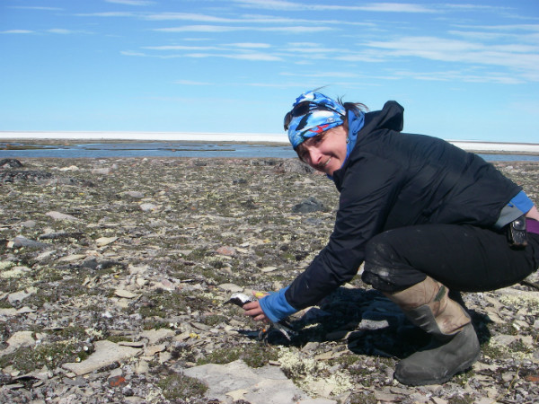 Lisa Pirie releasing 'Aupajaangajuq' (Inuktitut for the colour orange because he is sporting an orange leg band). To assist with answering questions such as use of migration stop-over sites along the Atlantic coast, length of stay at stop-over locations, use of protected areas in Canada, and use of wintering locations, we are fitting several Black-bellied Plovers with solar-powered transmitters that are worn like a back pack. The transmitters send location signals to the Argos satellite system every couple of days allowing us to keep tabs on the birds year round. #caribbeanwintersarcticsummers #frequentfliermiles