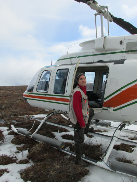 Debbie Buehler, bénévole du relevé des oiseaux de rivage, montant à bord de l'hélicoptère