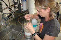Michelle Côté, RNCan a passé la journée à préparer les échantillonneurs de pompe osmotique