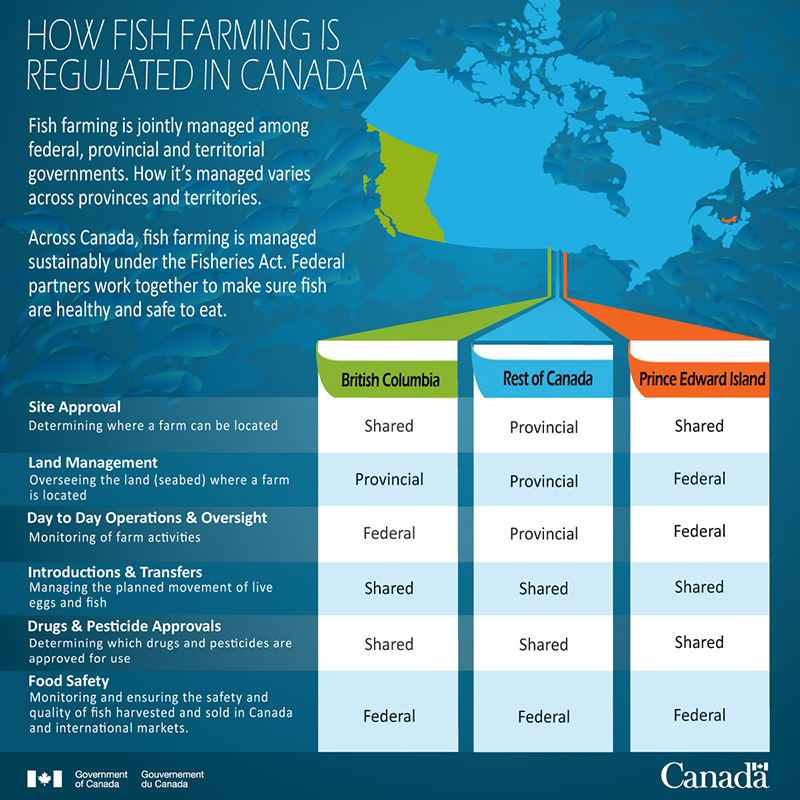 Infographic: How fish farming is regulated in Canada