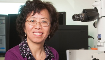 Dr. Ruojing Wang