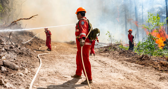 People in red protective gear spraying water on the smoking ground of a burning forest