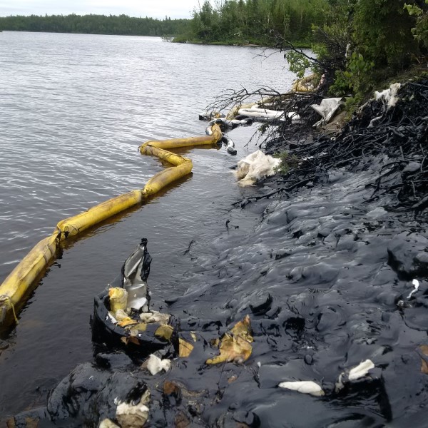 Bitumen spill along a lake in Réserve Faunique de la Vérendrye, QC